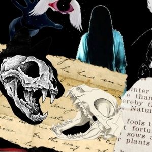 Meet your Posher, Lexi